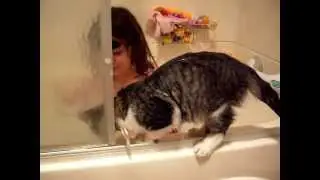 Gilbert the cat and kid in the bath tub ..part 2...FUNNY!