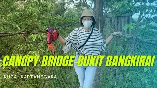 Canopy Bridge Bukit Bangkirai Kutai Kartanegara