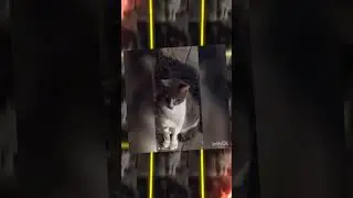Gece ve Bakış