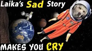 Laika Sad Hidden Story That Will Make You Cry || The Hidden Truth || School of Rap