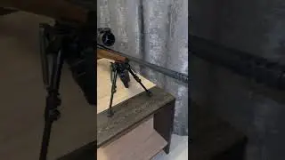 Digex C50 , Лось 145