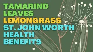 Discover the Medicinal Benefits of Tamarind Leaves, Lemongrass, and St. John's Wort