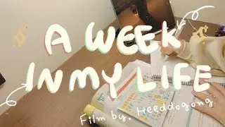 VLOG| 친구와 6시간 스카 study vlog/카공/공차