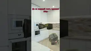 Куриные яйца 