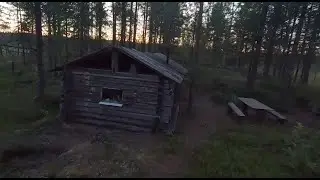Alone in the forest at night! Do you want to know what the forest hides from us at night?