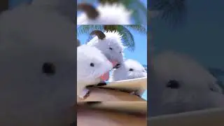 Обзор Поро из 