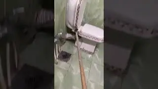 الفار الطيار