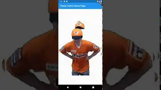 flutter afterimage