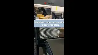 #shorts RGB-D ToF Camera Assists with Parcels-singulators