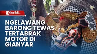 Ngelawang Barong Tertabrak Motor di Gianyar