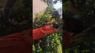 When music is played in beautiful nature