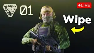The New Tarkov Wipe is AMAZING!