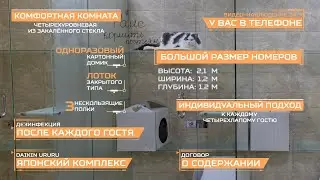 Киев. Гостиница для кошек