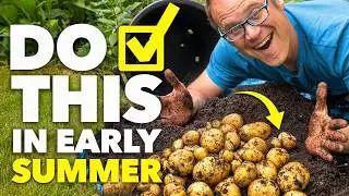 The Lazy Gardender's Checklist For June: Do This Now!