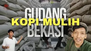Gudang Kopi di Bekasi, Mulih.id | Supplier Greenbean & Roasted Bean Arabika Robusta