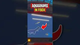AQUARIUMS Are FINALLY IN FISCH