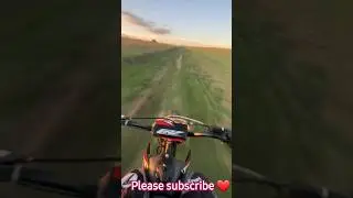 Summer moto vibes