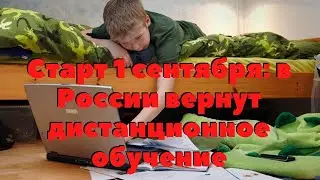 В России вернут дистанционное обучение с 1 сентября.