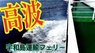 高波　宇和島運輸フェリー　八幡浜→別府　2024/09/22