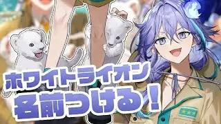 【雑談 l Free Talk 】ホロスターズタウンにいるホワイトライオンの赤ちゃんずに名前をつける！【 水無世燐央 l UPROAR!! 】