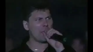Пора домой