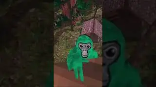 I Am The Gorilla Tag King