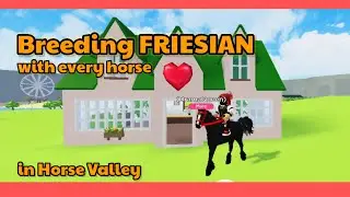 I bred Friesian with every horse in Horse Valley 