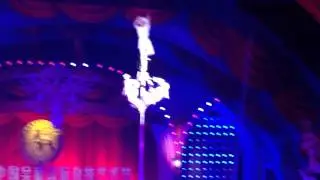 Gala Entertainment Management: Vertical perch act