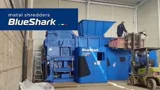 Zato | Blue Shark in South Korea: installation hyperlapse