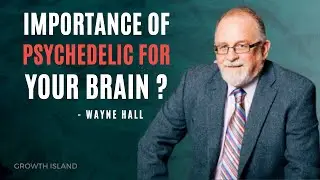 How does psychedelics affect the brain? Ft. Wayne Hall l Growth island l Ep 117