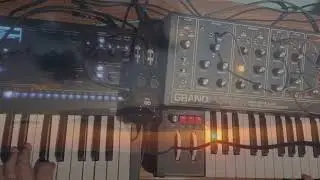 Korg Wavestate & Moog Grandmother Video 2 of 4 / Improvisations