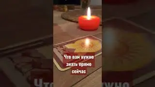 ЧТО ВАМ НУЖНО ЗНАТЬ ПРЯМО СЕЙЧАС
