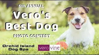 Vero's Best Dog Photo Contest 2019