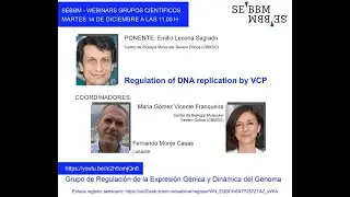Webinar Grupos de la SEBBM: “Grupos de Regulación de la Expresión Génica y Dinámica del Genoma”