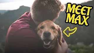 5 Key Considerations Before Adopting a Rescue Dog.