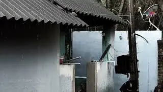 Beautiful Heavy Rain and Deep Thunder Sounds with Crickets, Frog Sound Effect for Sleep Instantly.