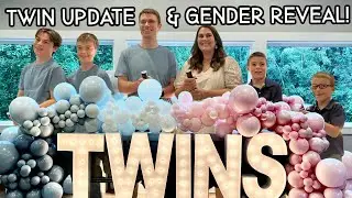 TWIN Update & Gender Reveal | This Alaska Life