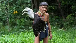 The Penan of Borneo: The Last Nomads of the Rainforest