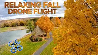 Relaxing Fall Drone Flight with the Cine8