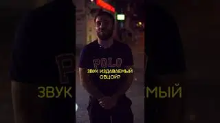 ПАРНИ ОТВЕЧАЮТ НА ВОПРОСЫ | @user-yo5jo6px7i