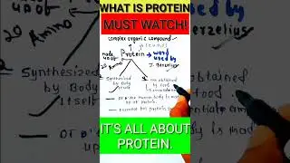 WHAT IS PROTEIN?||AMINO ACID||constituents of Protein #shorts#shortsvideo#science#viral#studyyaan