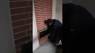 4та хонани иситадигон печка