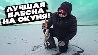 У НАС СВОЯ ЯКУТИЯ. ГОРБАЧИ, НЕ ЛЕЗУТ В ЛУНКУ. ЗИМНЯЯ РЫБАЛКА 2024