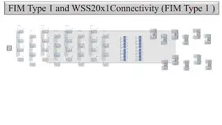 Physical Connectivity between Ciena FIM Type 1 to WSS 20x1 in Signal Flow of DWDM/CDC