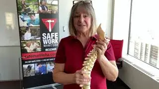 How Neutral Posture Can Prevent Injuries