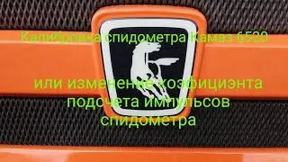 Калибровка спидометра Камаз 6520(изменение коэффициента подсчета импульсов спидометра)