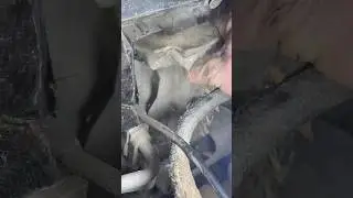 Продуем и обратно закинем 🤣