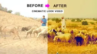 How to make your VIDEO look CINEMATIC FAST using Photoshop! PHOTOSHOP VIDEO EDITING