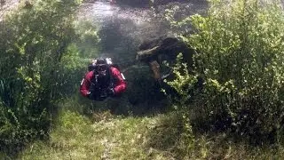 Невероятно необычное Зелёно озеро в Австрии(Green lake. The Park is under water)