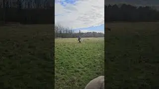 Me VS 500RPS Airsoft Grenade Launcher (40MAX Cyclops)